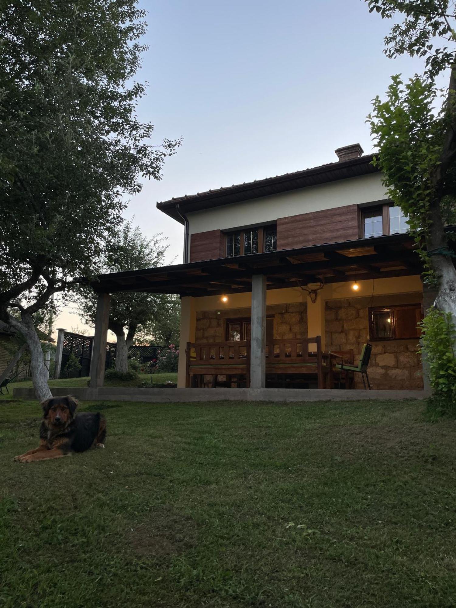 Villa Vikendica Pasa Pale Esterno foto